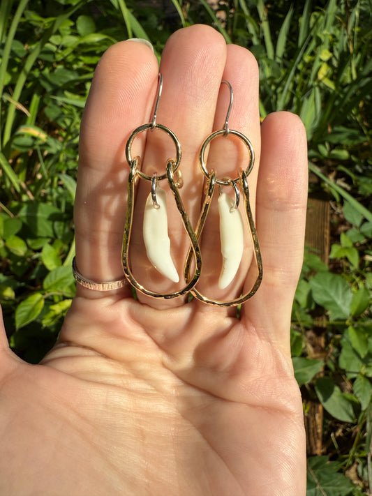 Coyote Curve – Brass & Coyote Tooth Earrings – Handmade Titanium Earwires